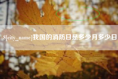 攀枝花我国的消防日是多少月多少日