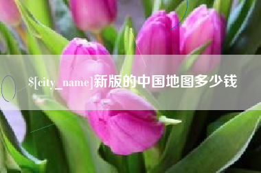 攀枝花新版的中国地图多少钱
