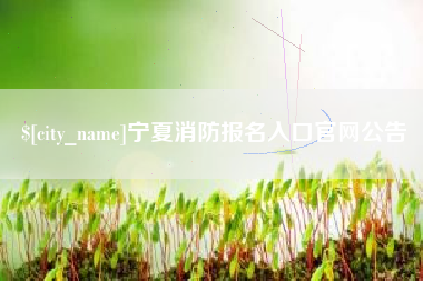 攀枝花宁夏消防报名入口官网公告