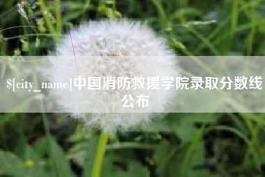 攀枝花中国消防救援学院录取分数线公布