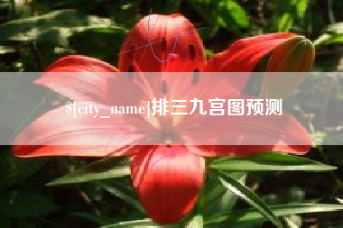 攀枝花排三九宫图预测