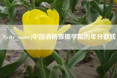 攀枝花中国消防救援学院历年分数线