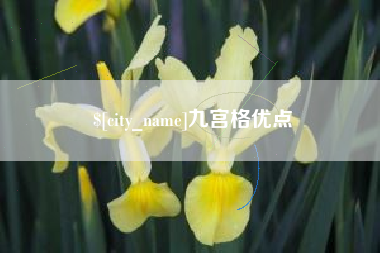攀枝花九宫格优点