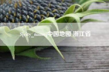 攀枝花中国地图 浙江省