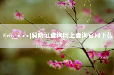 攀枝花消防证查询网上查询官网下载