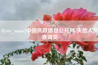 攀枝花中国执政信息公开网-失信人员查询页
