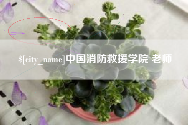 攀枝花中国消防救援学院 老师