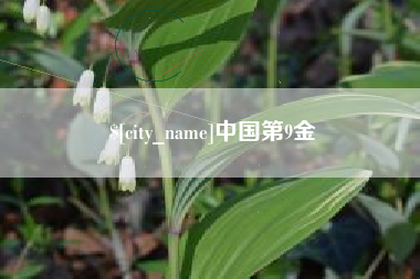 攀枝花中国第9金