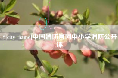 攀枝花中国消防官网中小学消防公开课