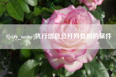 攀枝花执行信息公开网查到的案件