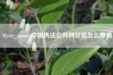 攀枝花中国执法公开网征信怎么查询