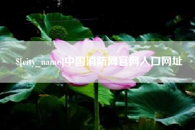 攀枝花中国消防网官网入口网址