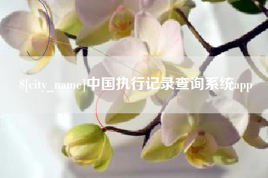 攀枝花中国执行记录查询系统app