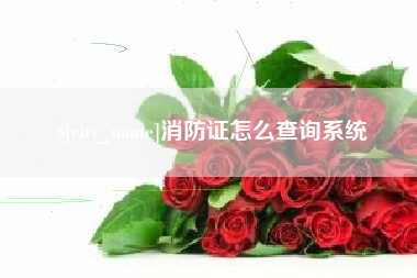 攀枝花消防证怎么查询系统