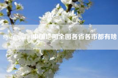 攀枝花中国地图全图各省各市都有啥