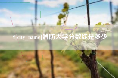 攀枝花消防大学分数线是多少