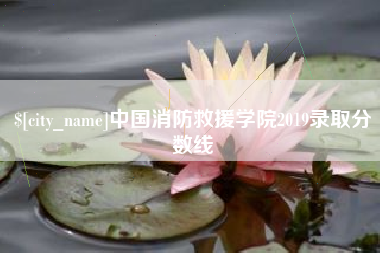 攀枝花中国消防救援学院2019录取分数线