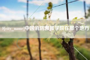 攀枝花中国消防救援学院在那个地方