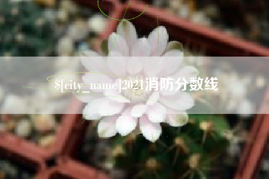 攀枝花2021消防分数线