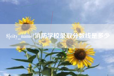 攀枝花消防学校录取分数线是多少