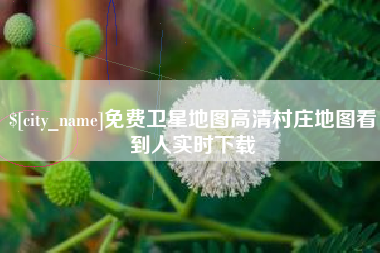 攀枝花免费卫星地图高清村庄地图看到人实时下载
