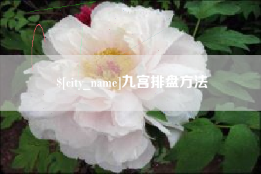 攀枝花九宫排盘方法