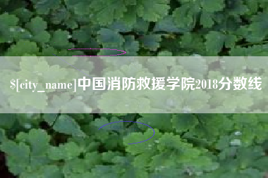 攀枝花中国消防救援学院2018分数线