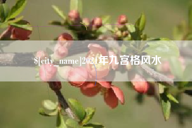 攀枝花2021年九宫格风水