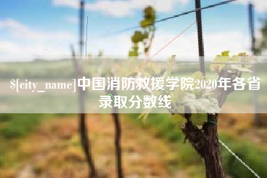 攀枝花中国消防救援学院2020年各省录取分数线