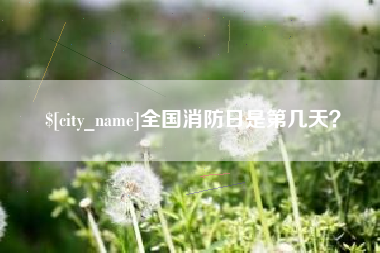 攀枝花全国消防日是第几天？
