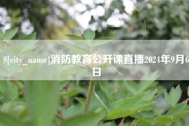 攀枝花消防教育公开课直播2024年9月6日