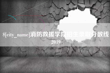 攀枝花消防救援学院招生录取分数线2019