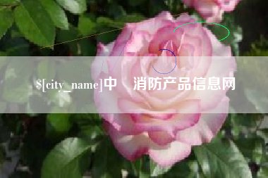 攀枝花中囯消防产品信息网