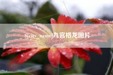 攀枝花九宫格龙图片