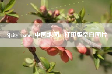 攀枝花中国地图a4打印版空白图片