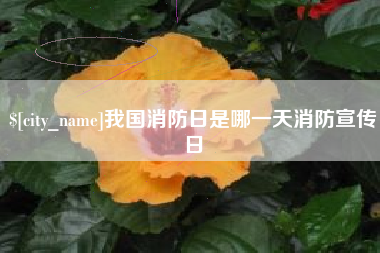 攀枝花我国消防日是哪一天消防宣传日