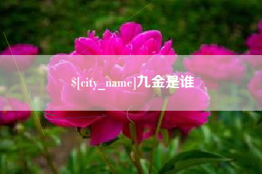攀枝花九金是谁