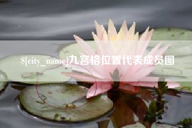 攀枝花九宫格位置代表成员图