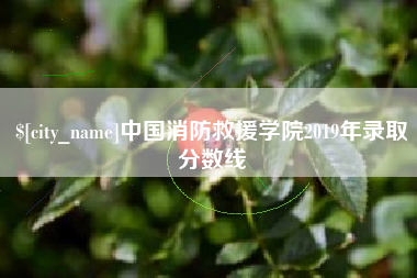 攀枝花中国消防救援学院2019年录取分数线