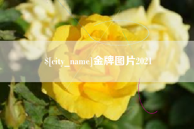 攀枝花金牌图片2021