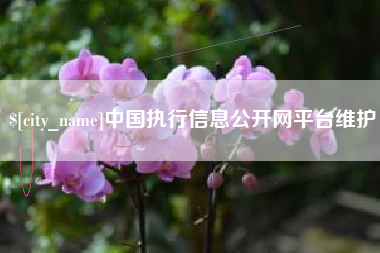 攀枝花中国执行信息公开网平台维护