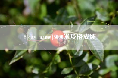 攀枝花5000米及格成绩