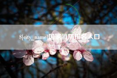 攀枝花国家消防报名入口