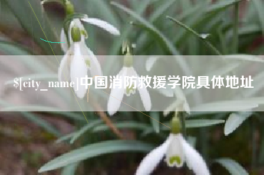 攀枝花中国消防救援学院具体地址