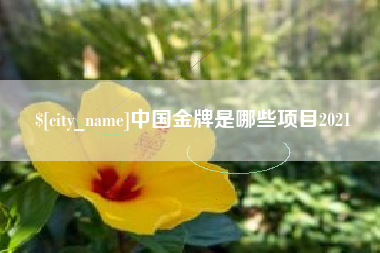 攀枝花中国金牌是哪些项目2021