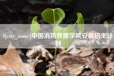 攀枝花中国消防救援学院安徽招生计划
