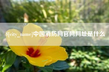 攀枝花中国消防网官网网址是什么