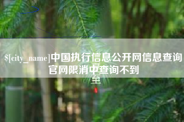 攀枝花中国执行信息公开网信息查询官网限消中查询不到