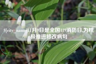 攀枝花11月9日是全国119消防日,为积极推进修改病句