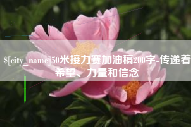 攀枝花50米接力赛加油稿200字-传递着希望、力量和信念
